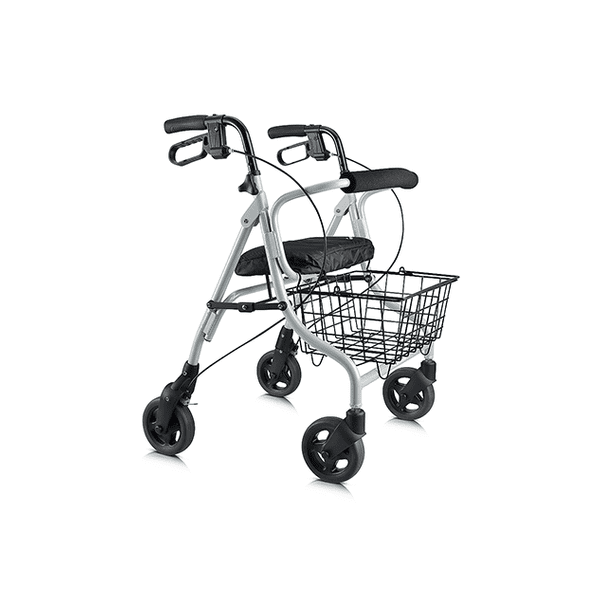 Evolution, Sprite Series Type 2 Walker