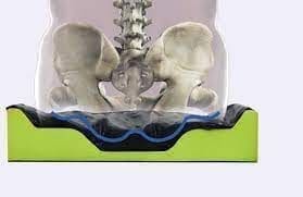 Motion Concepts, Matrx Libra Standard and Bariatric Cushion - Image 2